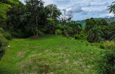 OCEAN VIEW LOT IN GATED COMMUNITY FOR SALE – 3.6 ACRES