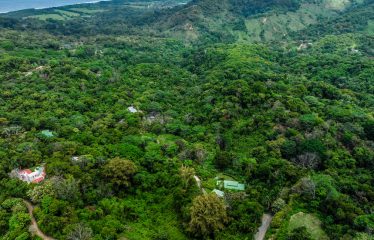 OCEAN VIEW LOT IN GATED COMMUNITY FOR SALE – 3.6 ACRES