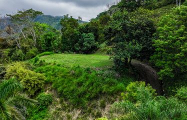 OCEAN VIEW LOT IN GATED COMMUNITY FOR SALE – 3.6 ACRES