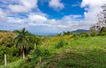 OCEAN VIEW LOT IN GATED COMMUNITY FOR SALE – 3.6 ACRES