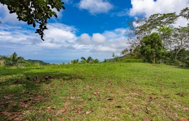 OCEAN VIEW LOT IN GATED COMMUNITY FOR SALE – 3.6 ACRES