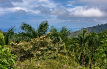 OCEAN VIEW LOT IN GATED COMMUNITY FOR SALE – 3.6 ACRES