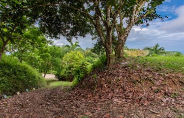 OCEAN VIEW LOT IN GATED COMMUNITY FOR SALE – 3.6 ACRES