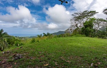 OCEAN VIEW LOT IN GATED COMMUNITY FOR SALE – 3.6 ACRES