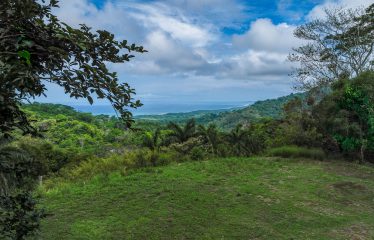 OCEAN VIEW LOT IN GATED COMMUNITY FOR SALE – 3.6 ACRES