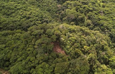 LAND WITH DEVELOPMENT POTENCIAL IN ESCALERAS