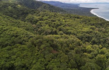 LAND WITH DEVELOPMENT POTENCIAL IN ESCALERAS