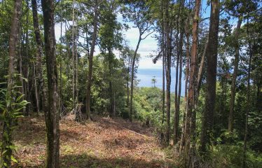 LAND WITH DEVELOPMENT POTENCIAL IN ESCALERAS