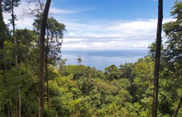 LAND WITH DEVELOPMENT POTENCIAL IN ESCALERAS