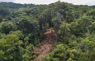 LAND WITH DEVELOPMENT POTENCIAL IN ESCALERAS