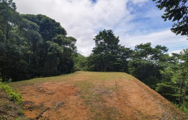 LAND WITH DEVELOPMENT POTENCIAL IN ESCALERAS