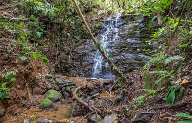 LUXURY HOME WITH AMAZING WHALE TAIL VIEWS 7.5 ACRES