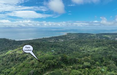 AMAZING WHALE TAIL VIEW FARM IN UVITA – 149 ACRES