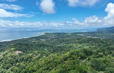 AMAZING WHALE TAIL VIEW FARM IN UVITA – 149 ACRES