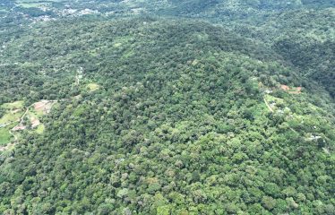 AMAZING WHALE TAIL VIEW FARM IN UVITA – 149 ACRES