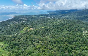 AMAZING WHALE TAIL VIEW FARM IN UVITA – 149 ACRES