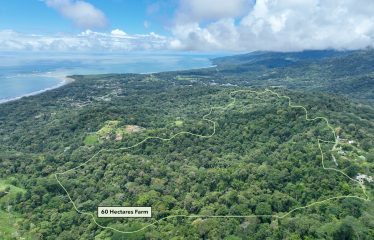 AMAZING WHALE TAIL VIEW FARM IN UVITA – 149 ACRES
