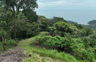 OCEAN VIEW PROPERTY IN PLAYA HERMOSA UVITA – 3.95 ACRES