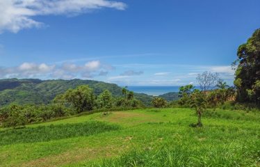OCEAN VIEW BUILDING SITE NEAR DOMINICAL BEACH – 3.45 ACRES