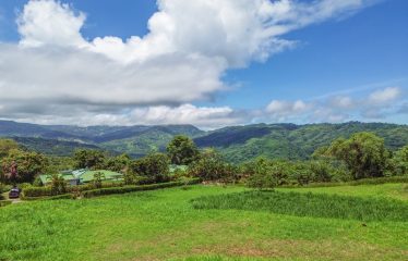 OCEAN VIEW BUILDING SITE NEAR DOMINICAL BEACH – 3.45 ACRES