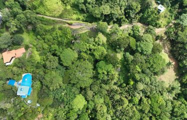 OCEAN VIEW PROPERTY IN PLAYA HERMOSA UVITA – 3.95 ACRES