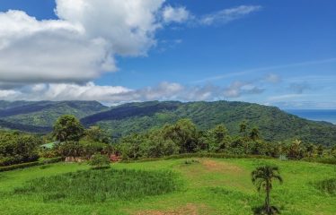 OCEAN VIEW BUILDING SITE NEAR DOMINICAL BEACH – 3.45 ACRES