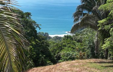 OCEAN VIEW PROPERTY IN PLAYA HERMOSA UVITA – 3.95 ACRES