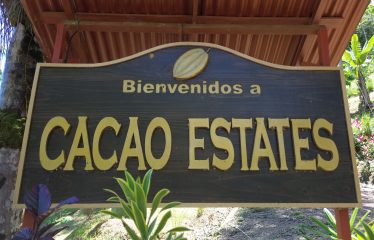 OCEAN VIEW BUILDING SITE NEAR DOMINICAL BEACH – 3.45 ACRES