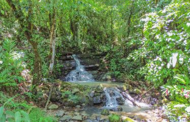 OCEAN VIEW BUILDING SITE NEAR DOMINICAL BEACH – 3.45 ACRES