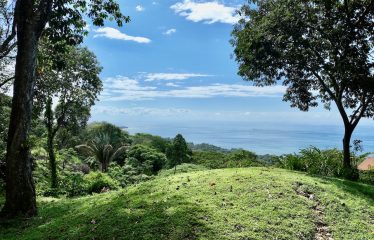 OCEAN VIEW PROPERTY IN PLAYA HERMOSA UVITA – 3.95 ACRES