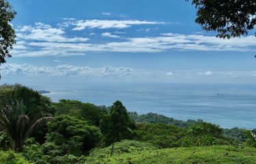 OCEAN VIEW PROPERTY IN PLAYA HERMOSA UVITA – 3.95 ACRES