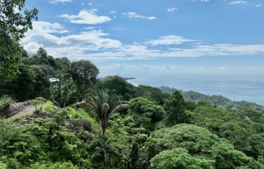 OCEAN VIEW PROPERTY IN PLAYA HERMOSA UVITA – 3.95 ACRES