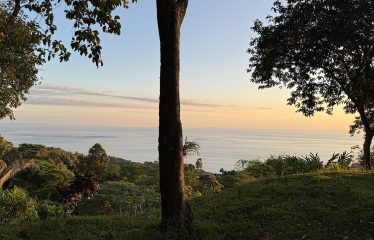 OCEAN VIEW PROPERTY IN PLAYA HERMOSA UVITA – 3.95 ACRES