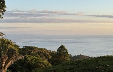 OCEAN VIEW PROPERTY IN PLAYA HERMOSA UVITA – 3.95 ACRES