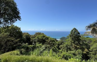 OCEAN VIEW PROPERTY IN PLAYA HERMOSA UVITA – 3.95 ACRES