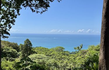 OCEAN VIEW PROPERTY IN PLAYA HERMOSA UVITA – 3.95 ACRES