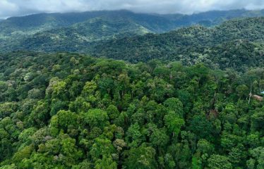 AMAZING WHALE TAIL VIEW FARM IN UVITA – 149 ACRES