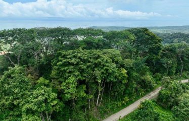 AMAZING WHALE TAIL VIEW FARM IN UVITA – 149 ACRES