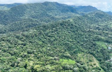 AMAZING WHALE TAIL VIEW FARM IN UVITA – 149 ACRES