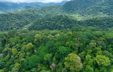 AMAZING WHALE TAIL VIEW FARM IN UVITA – 149 ACRES