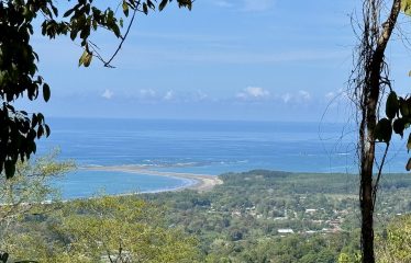 AMAZING WHALE TAIL VIEW FARM IN UVITA – 149 ACRES
