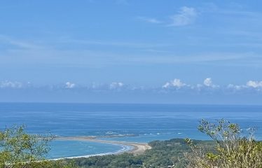 AMAZING WHALE TAIL VIEW FARM IN UVITA – 149 ACRES