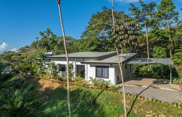 JUNGLE VIEWS 3 BEDROOM HOMES – 1.5 ACRES