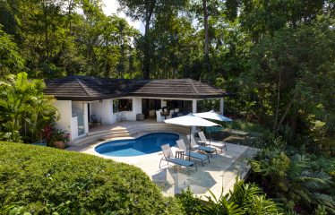 LUXURY 4 BEDROOMS OCEAN VIEW HOME IN BALLENA – 2.22 ACRES