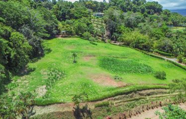 OCEAN VIEW BUILDING SITE NEAR DOMINICAL BEACH – 3.45 ACRES