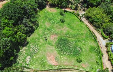 OCEAN VIEW BUILDING SITE NEAR DOMINICAL BEACH – 3.45 ACRES