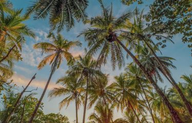 WALKING DISTANCE TO THE BEACH COMMERCIAL PROPERTY HOTEL AND RESTAURANT