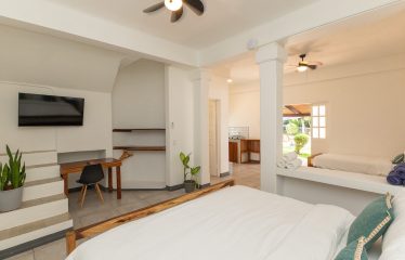 LUXURY 49 ROOM HOTEL IN MANUEL ANTONIO