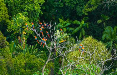 PRIVATE AND LUXURY BEACHFRONT PROPERTY – 680 ACRES