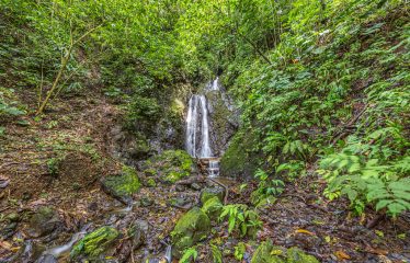 PRIVATE AND LUXURY BEACHFRONT PROPERTY – 680 ACRES